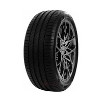 225/45  R18  Delinte DS-2 95W